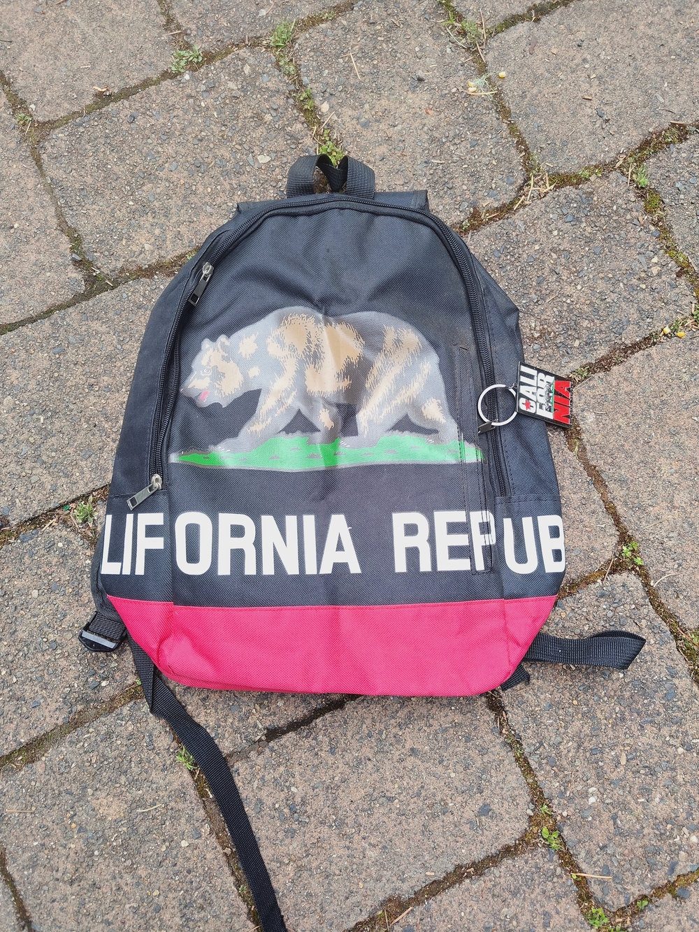 California Republic Black and Red Canvas Backpack